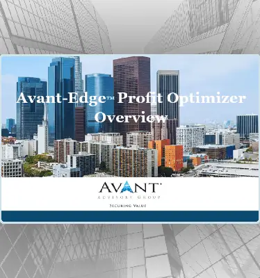 AvantEdge-Profitability-EBITDA-Optimizer-1
