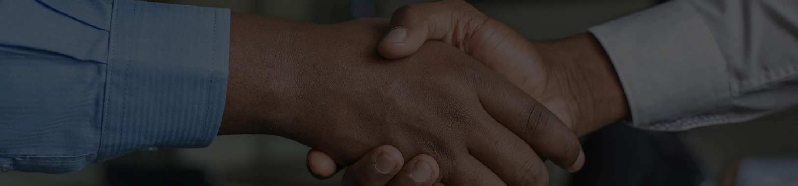 World Focus Ambassador Background